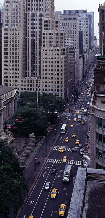 zdjęcie nyc031509