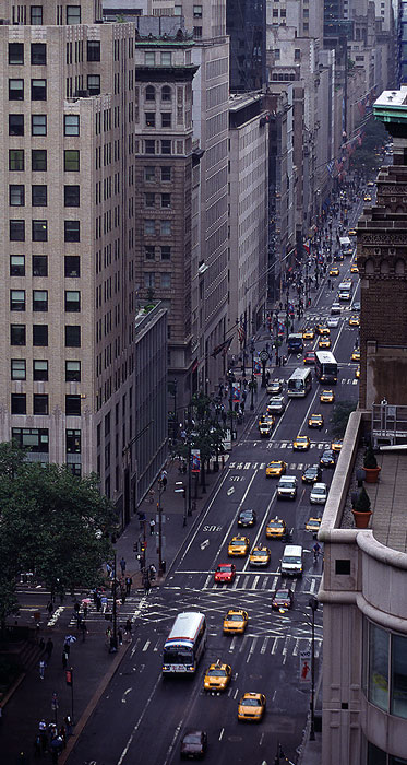 zdjęcie nyc031525