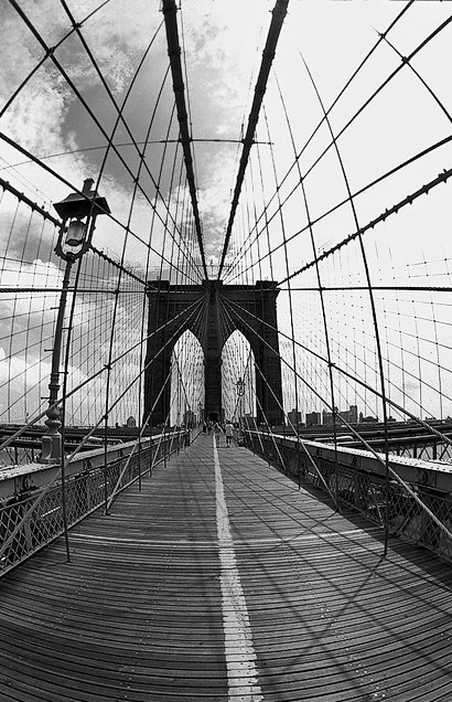 zdjęcie nyc030131g
