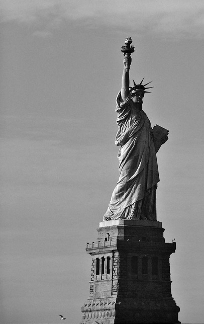 zdjęcie nyc031214g