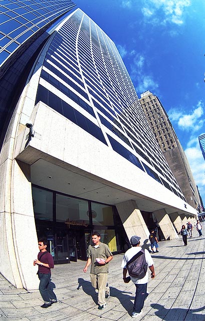 zdjęcie nyc032832