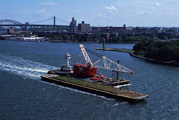 zdjęcie nyc033004