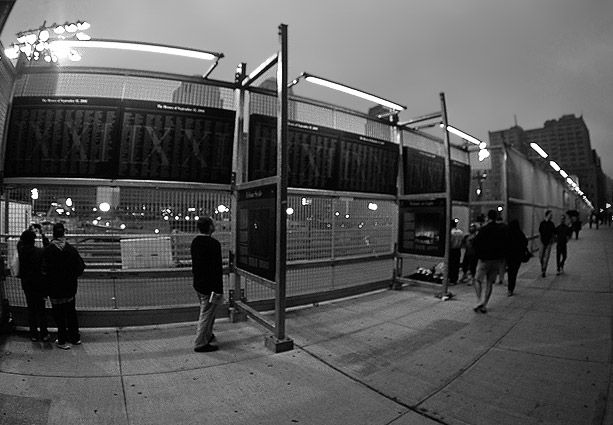 zdjęcie nyc031431