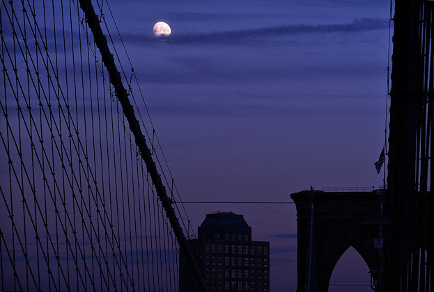 zdjęcie nyc032422