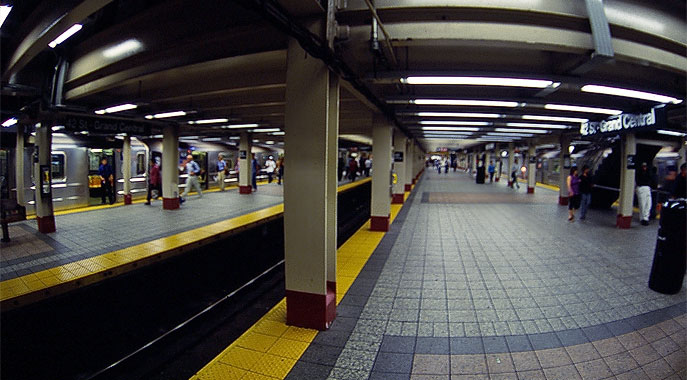 zdjęcie nyc032835