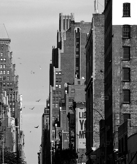 zdjęcie nyc031111g
